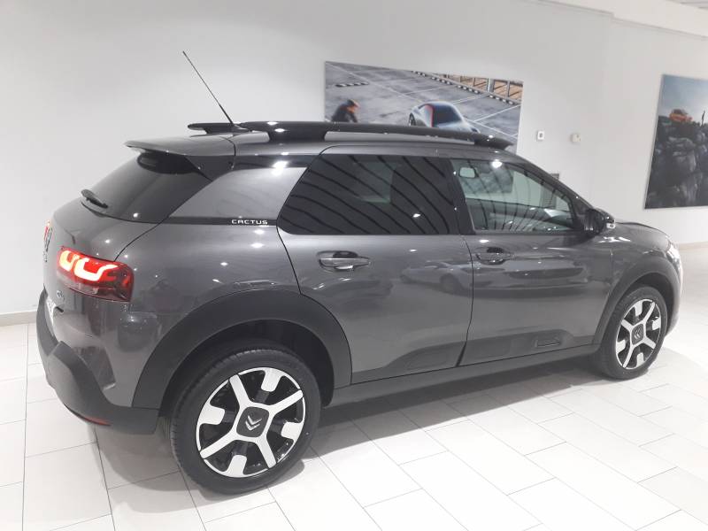 Citröen C4 Cactus PureTech 81KW (110CV) S&S Shine Citröen C4 Cactus PureTech 81KW (110CV) S&S Shine